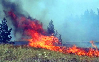 浅析基于AI烟火识别的森林防火风险监测预警系统